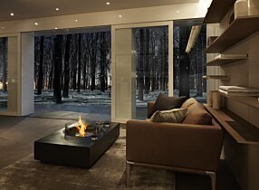 Private Residence - Martini 50 Ethanol Fireplace by EcoSmart Fire