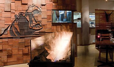 Hippo Creek African Grill - Hospitality fireplaces