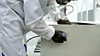 thumbnail: bld-production-coffee-table-sanding-detail-4575.png